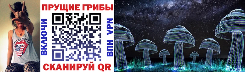 Псилоцибиновые грибы Cubensis Купить закладки Заозёрный